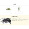 CRECOS(クレコス)エクストラオイル 32ml
