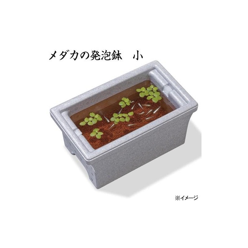 SUDO S-5578 Stumpet Medallion Foaming Pot, Small