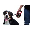 Alcott Kong Ultimate Retractable Dog Leash, Extra Large, Grey, 16'