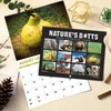 Gag Gifts - 2026 Wall Calendar, White Elephants Natures's Butts,