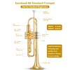Eavnbaek Bb Standard Trumpet Set for Beginner or Advanced Student,