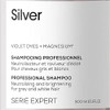 L'Oreal Professionnel Serie Expert DOUBLE Silver Shampoo 300ml