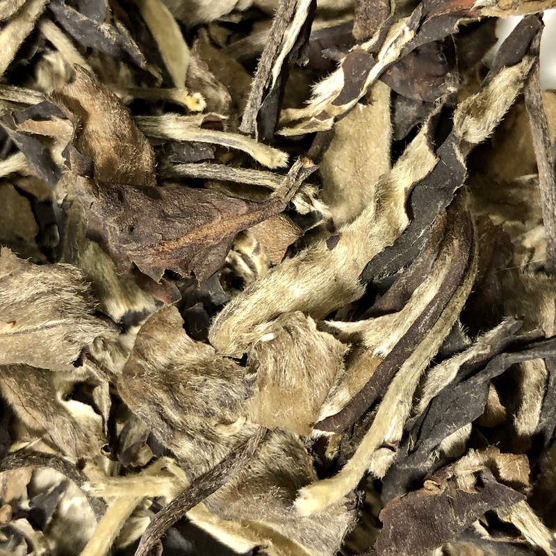 Zen Dog Teas - Moonlight White Pu’erh Premium Organic