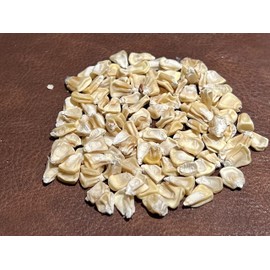 USDA, Organic, Silver, Hawaiian #9, Super, Sweet Corn, Heirloom, Open Pollinated, Non GMO