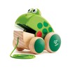 Hape Frog Pull-Along | Wooden Frog Fly Eating Pull Toddler