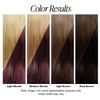 Adore Semi Permanent Hair Color (078 Rich Amber) (2 Pack)