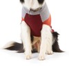 Reddy Burgundy Colorblock Dog Sweater, 3X-Large