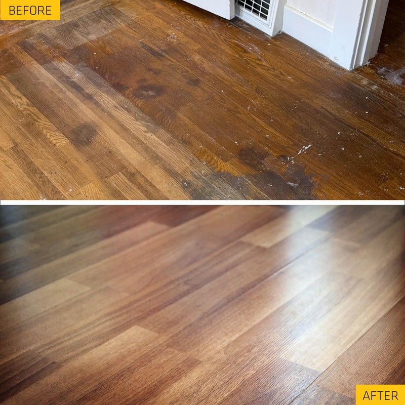 SIKA DriTac Wood Repair Adhesive - White, Professional Quality for