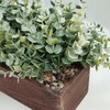 Winlyn Winlyn 14" Artificial Eucalyptus in Rectangular Wood Planter Box