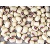 Pink Eyed Peas Heirloom Seeds - Non GMO - Neonicotinoid-Free