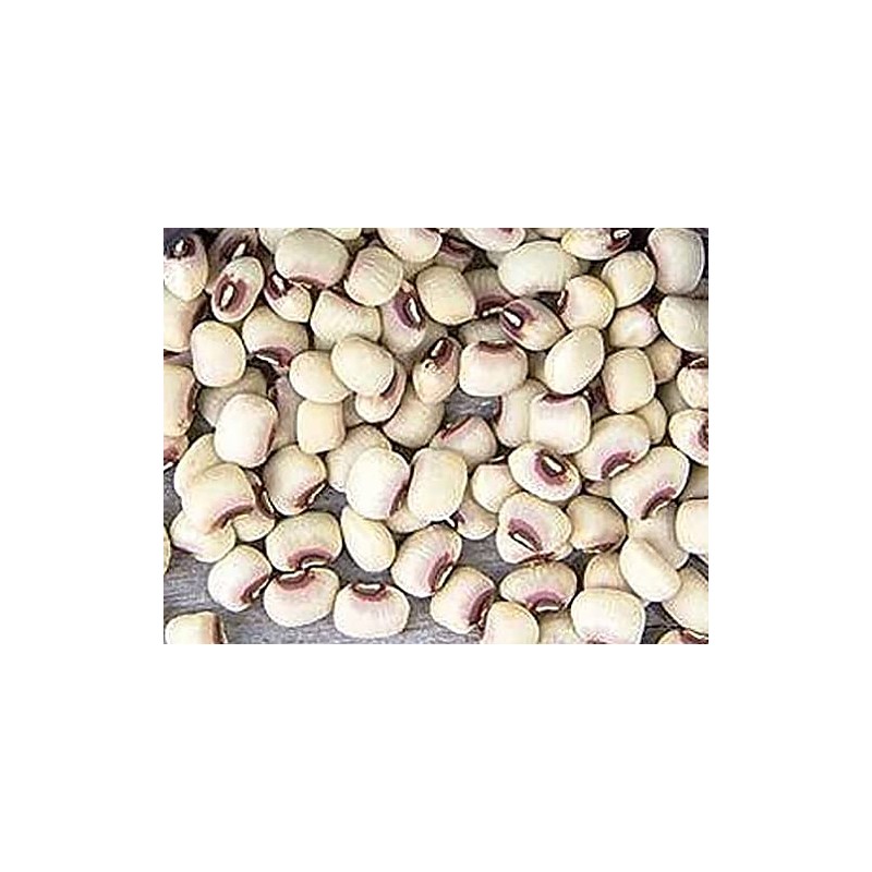 Pink Eyed Peas Heirloom Seeds - Non GMO - Neonicotinoid-Free