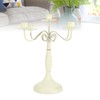European Style Candelabra 5 Arms Iron Elegant Candle Stick Candelabra