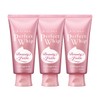 Senka Perfect Beauty Foam Cleansing Foam x 3 White Clay