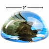 Rhode Island Novelty 80 mm Dome Paperweight Eagle