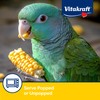 Vitakraft Mini-Pop Corn Cob Bird Treat 6 Ounce (Pack of