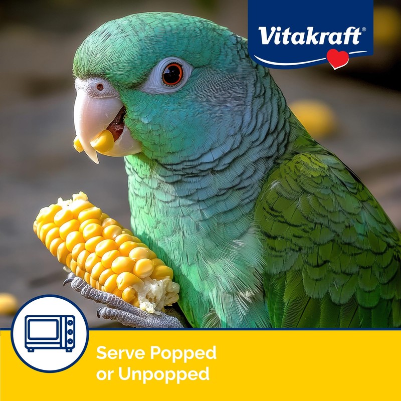 Vitakraft Mini-Pop Corn Cob Bird Treat 6 Ounce (Pack of