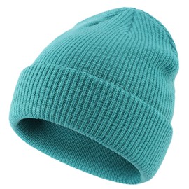 Decentron Classic Men's Warm Winter Hats Thick Knit Cuff Beanie Cap Daily Beanie Hat (Lake Blue)