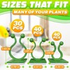 Plant Wall Clips for Climbing Plants 110 Pcs - Pothos