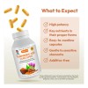Curcumina Andrew Lessman Alta Absorción – Turmeric 400 mg con