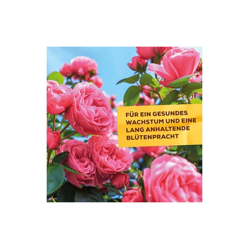 PROTECT HOME Solabiol Brennnessel Sud, biologisches Pflanzenst?rkungsmittel zur Kr?ftigung und