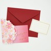 Greeting Life Autumn Autumn Cards Flower Pop-Up Cosmos LY-44 Pink