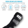 Bawektrl Dog Leg Braces for Back Legs, Canine Hock Brace