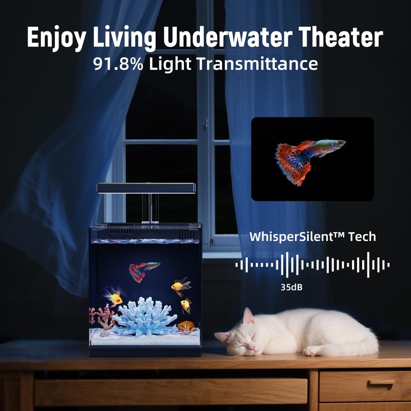 AQUASMITH Beta Fish Tank, 2 Gallon Fish Aquariums with Filter