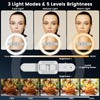 Ring Light with Overhead Phone Mount, 10" Selfie Light with