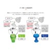タン練くん グリーン(200ml) 一般医療機器 (口腔嚥下機能訓練器具)