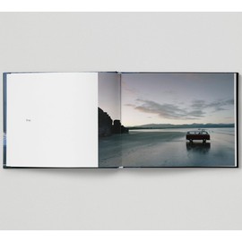 The Silence of Dogs in Cars