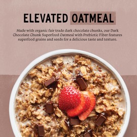 Purely Elizabeth Classic Cinnamon Superfood Oatmeal, with Prebiotic Fiber, Gluten Free & Non-GMO, 9.12 Oz (Pack of 6) (6 Pack, Dark Chocolate Chunk)