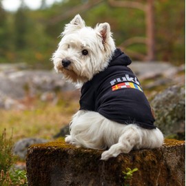 Rukka Pets Sierra Sweatshirt for Dogs Black 40