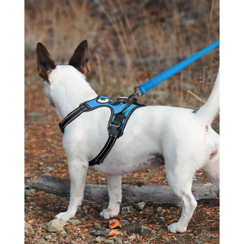 Joytale Double-Sided Reflective Dog Leash, 6 FT/5 FT/4 FT, Padded