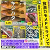Wandering Seagull PE Line Fishing Line #3 300M 5 Colors