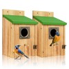 2 Pack Bird Houses for Outside - Cedar Bluebird Houses