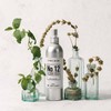 Clothing Spritz White Tea and Mint | Target Impurities, Remove
