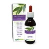 White Willow (Salix alba) bark Alcohol-Free Mother Tincture Naturalma |