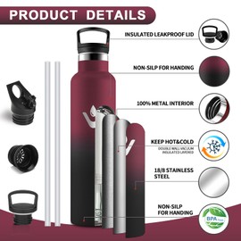Vikastar Stainless Steel Drinking Bottle, Thermos Flask, 1 Litre, BPA-Free Drinking Bottle, Thermos Bottle with Straw, Drinking Bottle for School, Sports, Bike, Camping, Red & Black