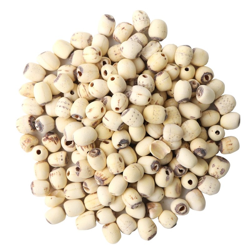 동의한재 껍질깐 연자육 연꽃씨, 500g, 1개 Peeled Lotus Seeds, 500g,