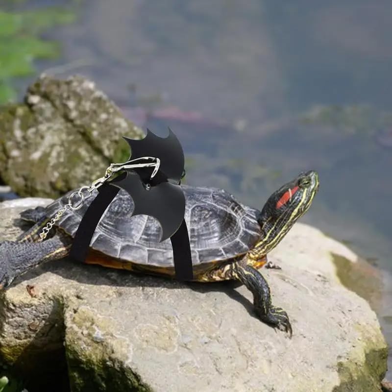 Turtle Harness and Leash with Wings- Harness Strap Chest Collar