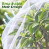Plant Protection Bag Netting Mesh for Fruit Trees & Garden