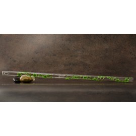 Hall Crystal Flute 22204 - Offset Glass Flute in D - Green Ivy