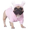 iChoue I am a French Bulldog Bunny Dog Easter Costumes