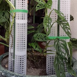 Monstera 2/1개 플라스틱 모스폴(모스 지지대) - 몬스테라용, 쌓아서 사용 가능 & 리필 덩굴식물용, 자가 급수, 식 [04 White 2PCS] 2/1 Plastic Moss Pole (Moss Support) - For Monstera, Stackable & Refill for Climbing Plants, Self-Watering, Plant [04 White 2PCS]