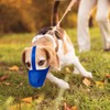 Miavers Dog Muzzle, Soft Mesh Covered Muzzles for Small, Medium,