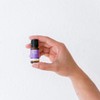 ECO. Modern Essentials Lavender Pure Essential Oil, 10ml