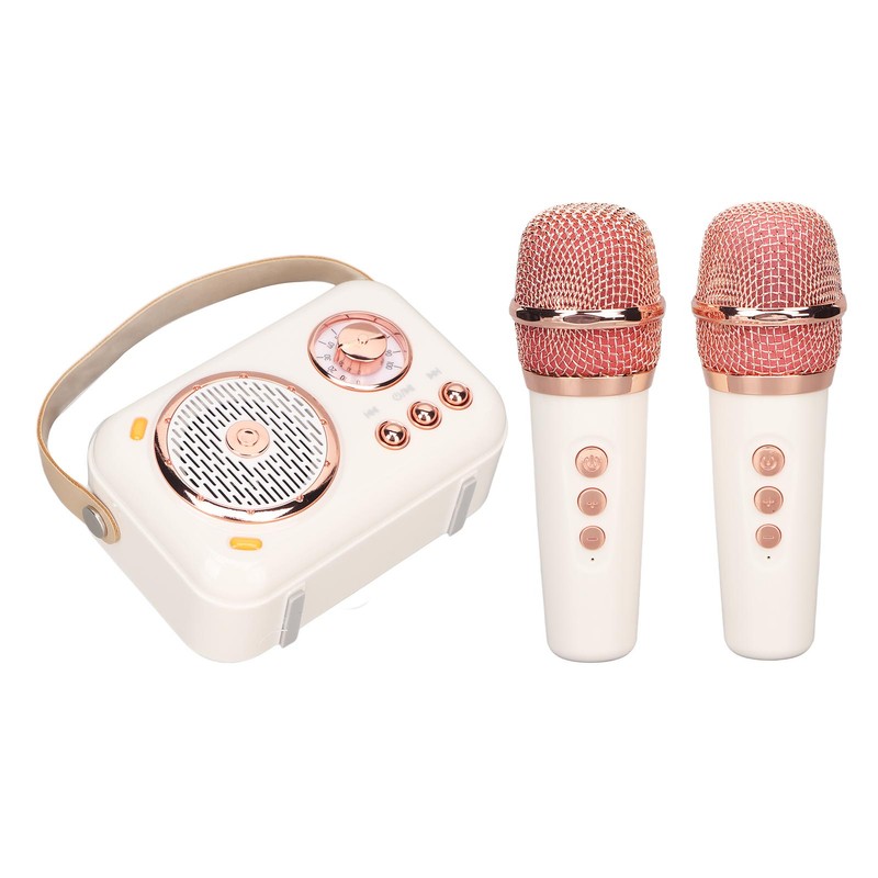 Karaoke Machine Multifunction Enhanced Bass 6 Modes Portable Bluetooth PA