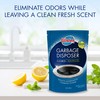 Glisten Garbage Disposer Cleaner and Freshener with Foaming Action, Helps