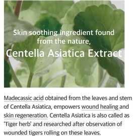 Mixsoon Soondy Esencia Facial de Centella Asiática 100ml – Hidratante, Calmante, 100% Extracto Natural, Esencia Coreana para Piel Sensible, Refrescante y Suave, Ideal para Rostro Irritado y Seco