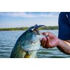 YUM FF Sonar Minnow - Houdini Shad - 4"